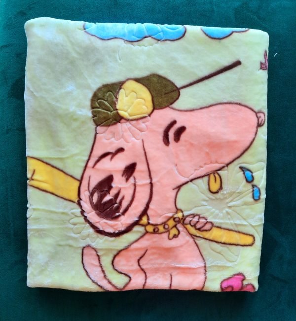 Plush mink green silk spoyt blanket for kids - Image 2