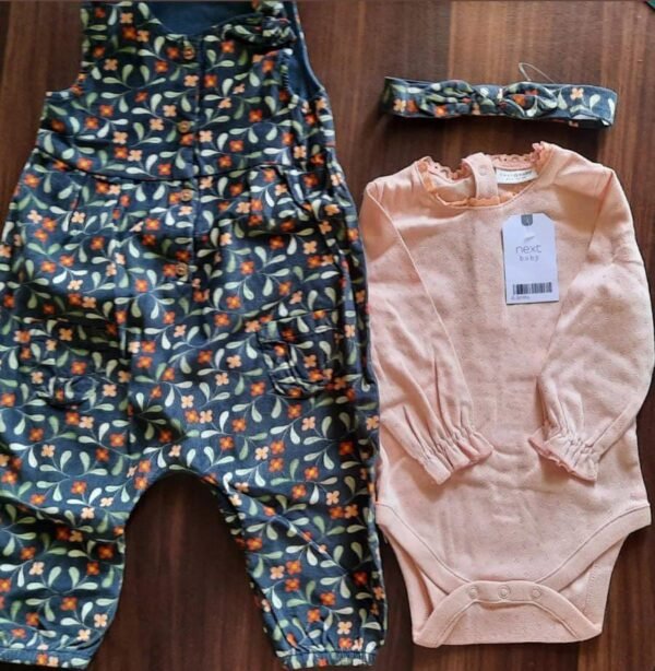 Next Dungaree Set